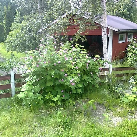 Oda ve Kahvaltı Lappilan *